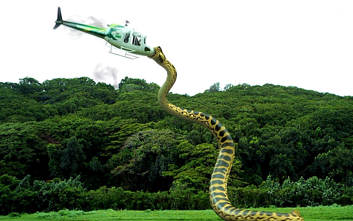 фото самых огромных змей